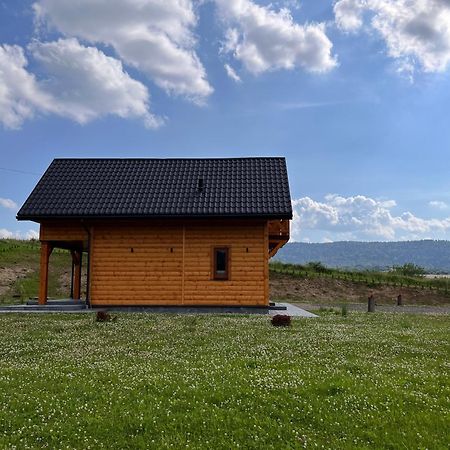 Gospodarstwo Agroturystyczne Bieszczadzki Blizniak Балигруд Экстерьер фото
